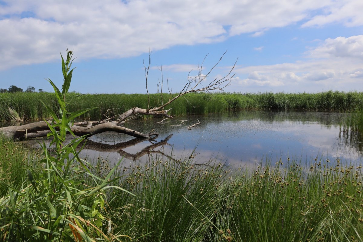 Wandeling naar het zuidelijke puntje van Gnitz, &copy; Jana Freitag