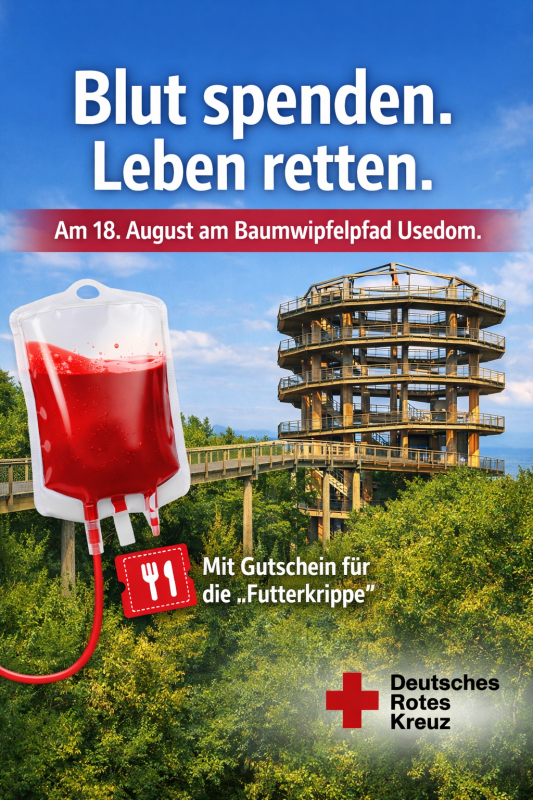 German Red Cross Blood Drive at the Usedom Tree-Top Trail // © Erlebnis Akademie AG/Baumwipfelpfad Usedom German Red Cross Blood Drive at the Usedom Tree-Top Trail // © Erlebnis Akademie AG/Baumwipfelpfad Usedom