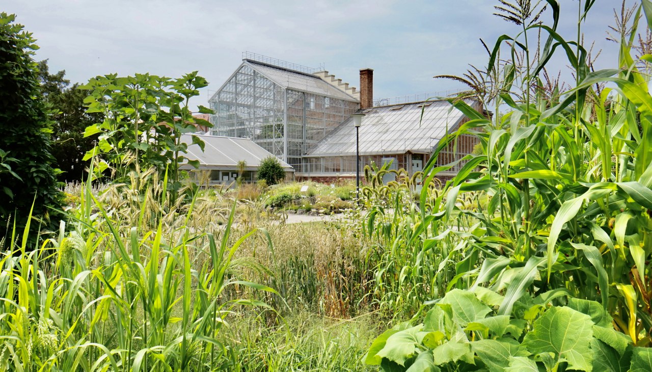 Ogród botaniczny, © Gudrun Koch Ogród botaniczny, © Gudrun Koch