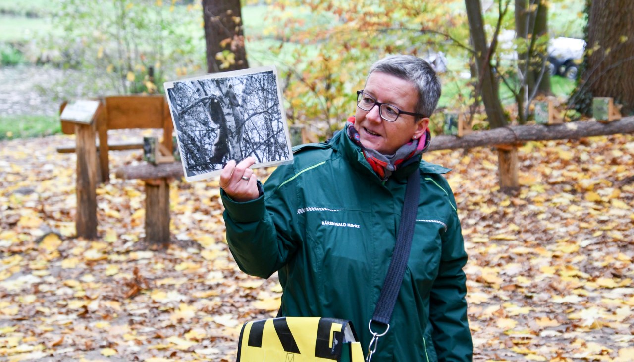 Winterrondleiding in de BÄRENWALD Müritz, © BÄRENWALD Müritz | Manuela Klier Winterrondleiding in de BÄRENWALD Müritz, © BÄRENWALD Müritz | Manuela Klier