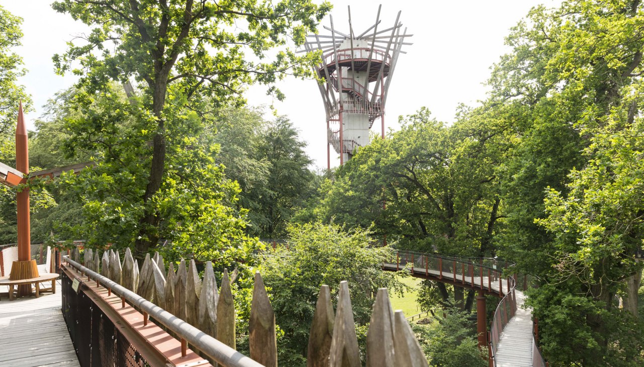 baumkronenpfad-5, © Landesforst MV