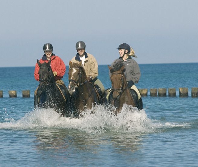 Een verfrissende rit door de Oostzee versterkt de gezondheid van ruiter en paard in gelijke mate., © Reitstall Stuthof