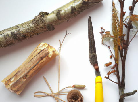 Von der Natur inspirieren lassen und kreativ werden // &copy; Annett Freese