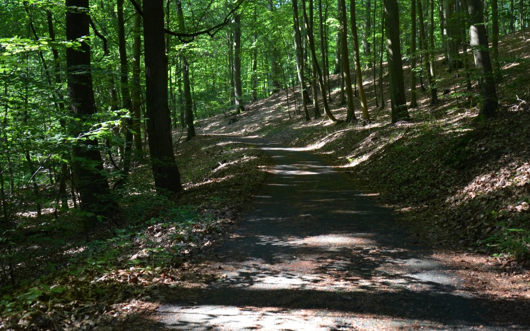 DSC_0329, © Kurverwaltung Feldberger Seenlandschaft DSC_0329, © Kurverwaltung Feldberger Seenlandschaft