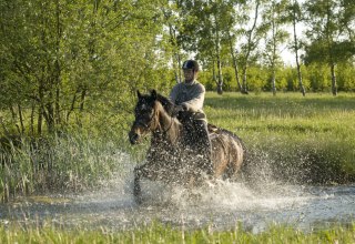 Auf ihrem Tagesritt durchreitet die Reiterin einen Teich entlang des Weges // © MV-T/ Hafemann Auf ihrem Tagesritt durchreitet die Reiterin einen Teich entlang des Weges // © MV-T/ Hafemann