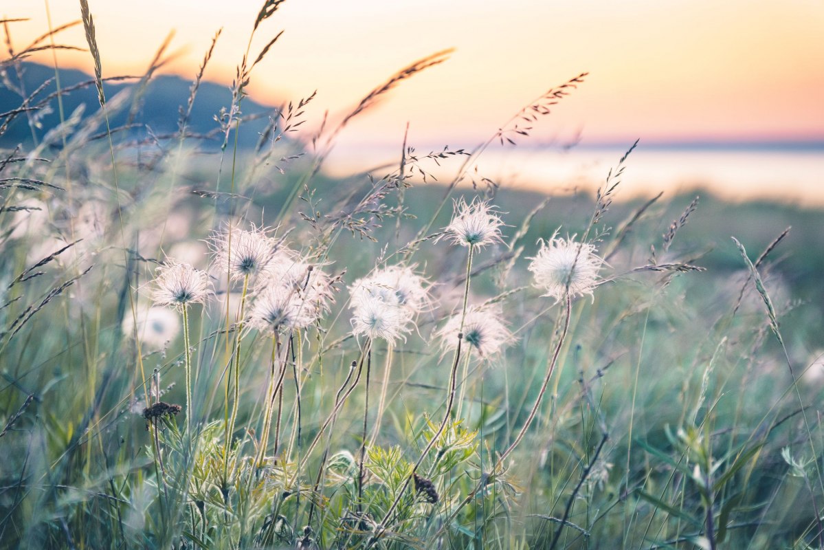 Oogwandeling op de Oostzee