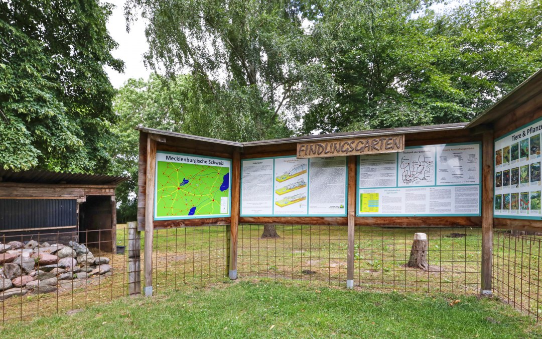 Rotstuin Hohen Mistorf_3, © TMV/Gohlke