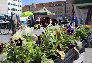 © VZN GmbH N.Geffe