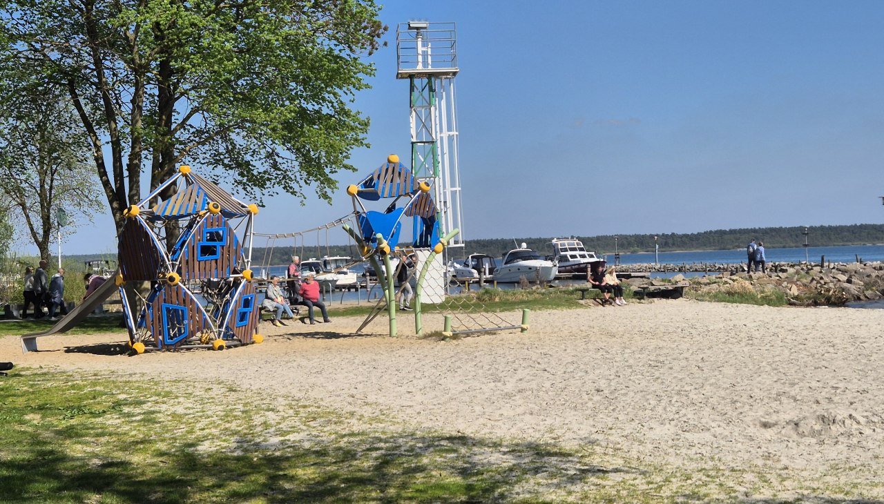 20250420_141114, © Gina Schulenberg 20250420_141114, © Gina Schulenberg