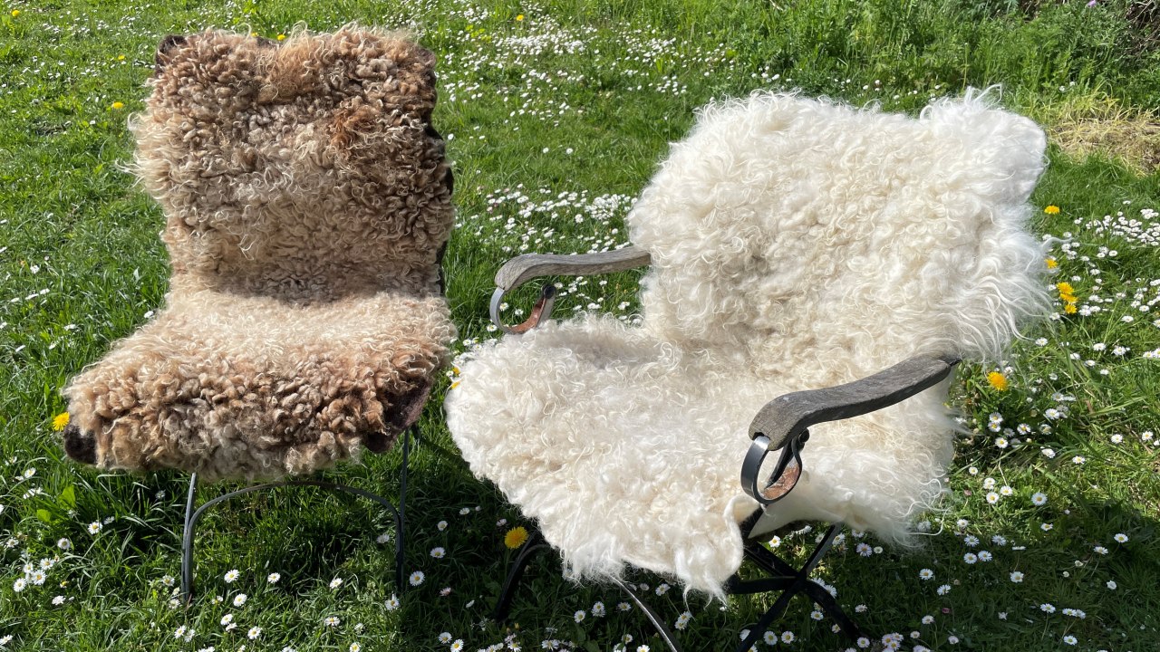 © Silke Daniel © Silke Daniel