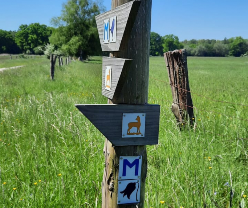 wegwijzer, © Waren (Müritz)-Information