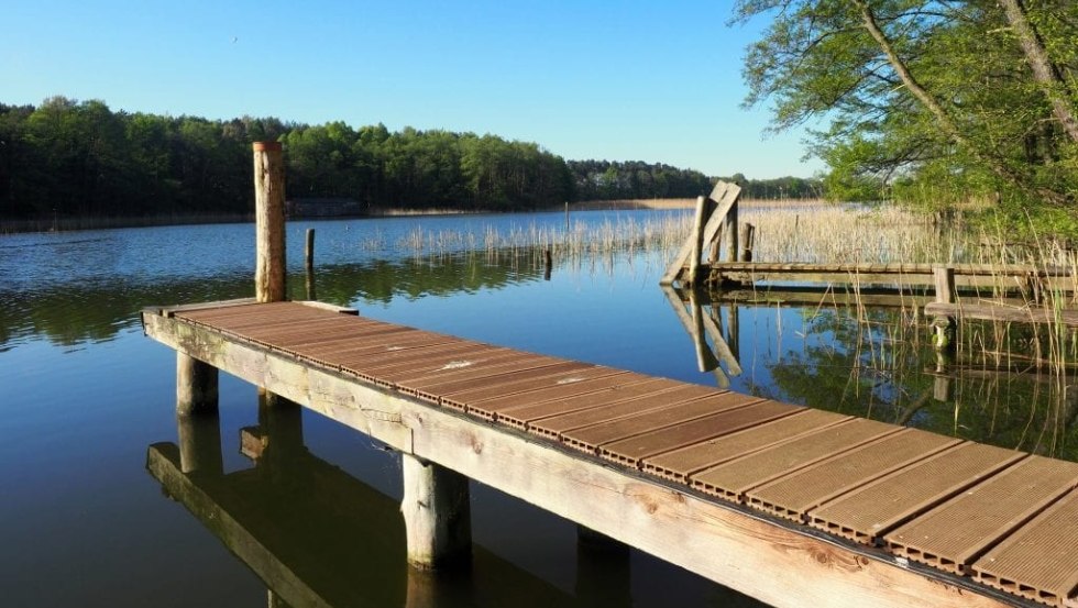 &copy; Verein f&uuml;r innovative Jugendbildung e.V.