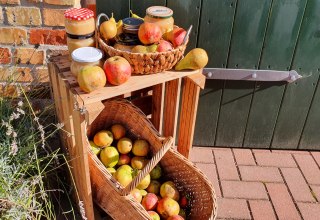 Appeldag . frischer Apfelsaft aus der Presse und Sortenbestimmung // &copy; S. Maus