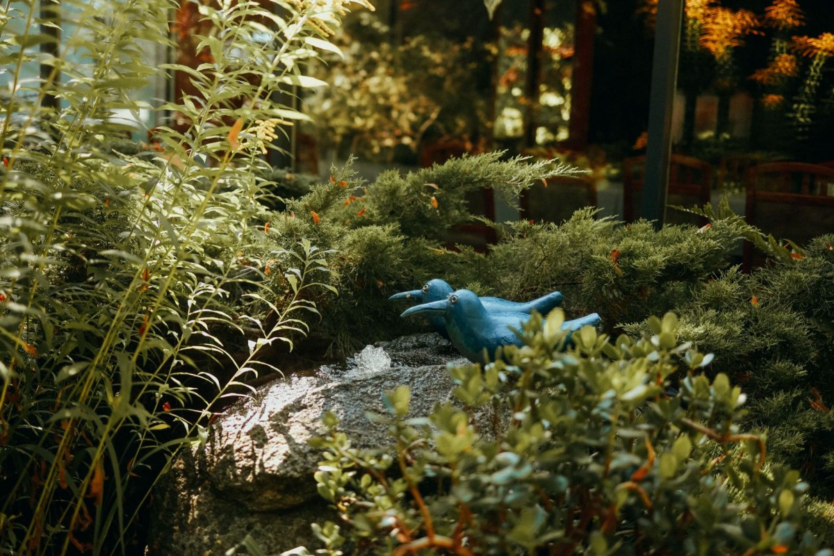 aussen_5-414927cf, &copy; Hotel & Restaurant Paulsh&ouml;he