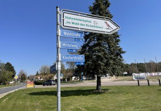 © TZ Südliche Boddenküste © TZ Südliche Boddenküste