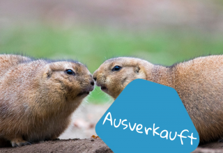 © Zoo Schwerin © Zoo Schwerin