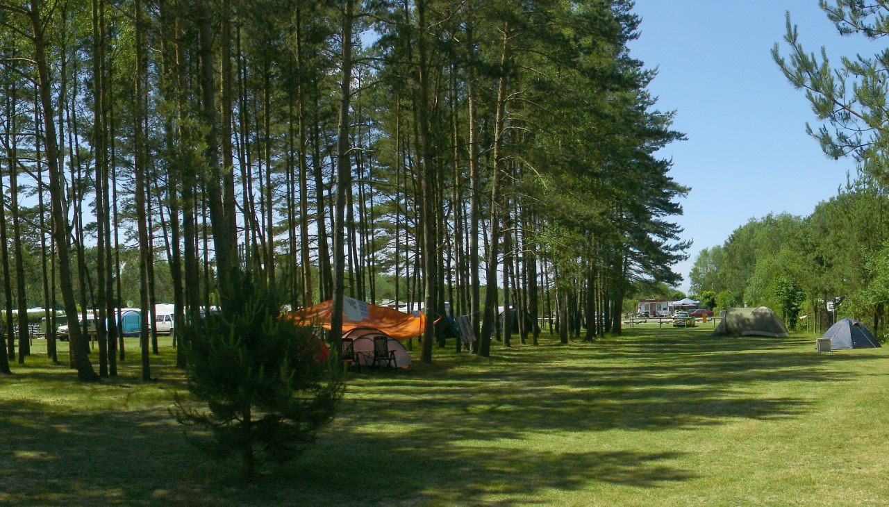 Zicht op het tentengebied, © Camping in Neuhaus Zicht op het tentengebied, © Camping in Neuhaus