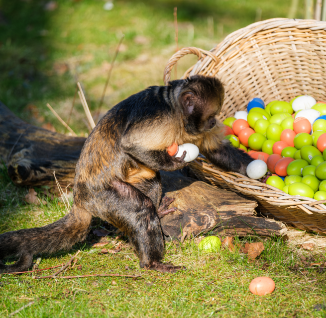 © Zoo Schwerin © Zoo Schwerin