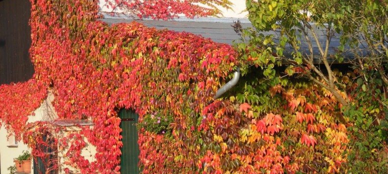 © Rainer Ulrich © Rainer Ulrich