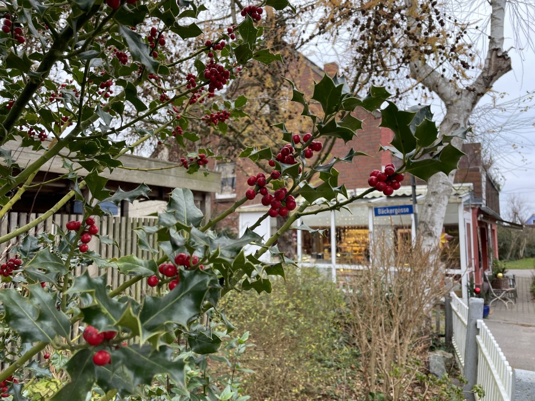 © TZ Südliche Boddenküste © TZ Südliche Boddenküste