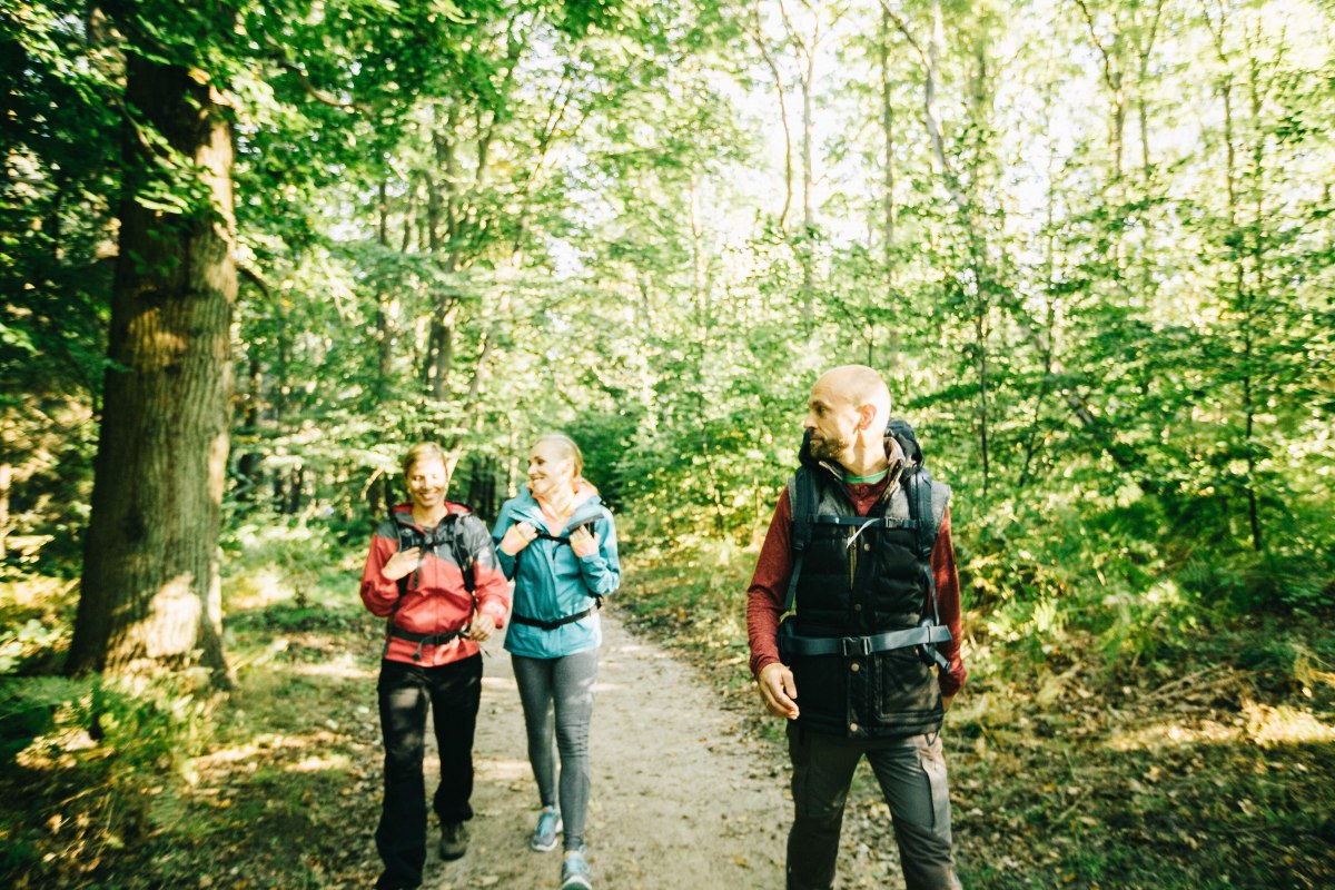 Wandeling door de Rostocker Heide // &copy; TZRW_T.Roth