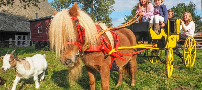 Der neue Spieleboden im Freilichtmuseum Klockenhagen // &copy; Freilichtmuseum Klockenhagen