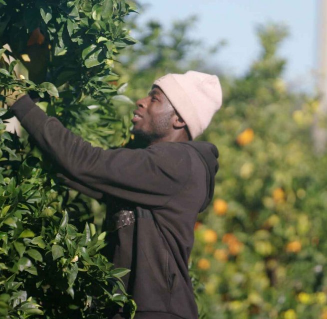 © @ThePickers.org © @ThePickers.org