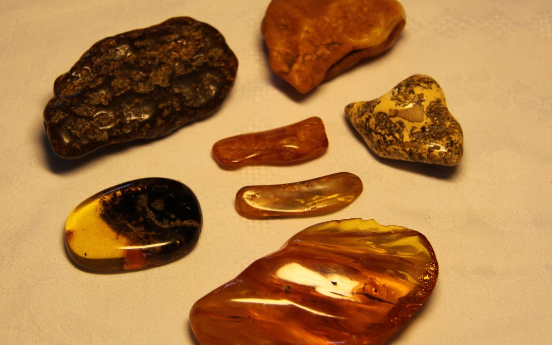 Lezing Amber - het goud van de Oostzee, © Historische Gesellschaft zu Zinnowitz, Ute Spohler, 17454 Zinnowitz, Sc