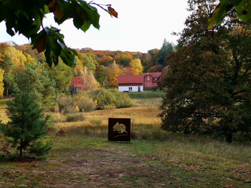 Serrahn_Doebbert, © Wiebke Döbbert Serrahn_Doebbert, © Wiebke Döbbert