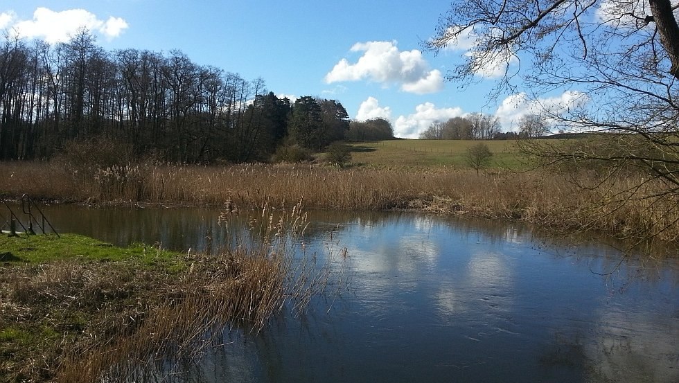 Tussen natuurlijke weiden en bossen kun je in alle rust genieten van de ongerepte schoonheid van dit landschap., © TMV