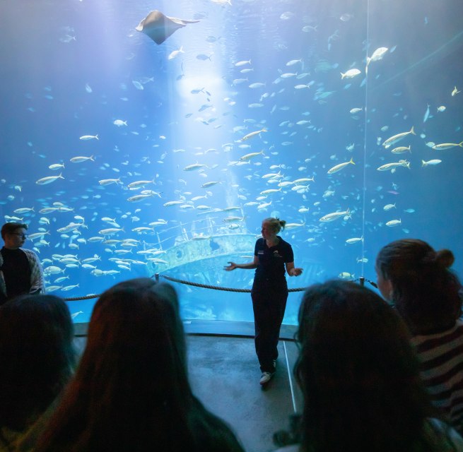 &copy; Anke Neumeister/Deutsches Meeresmuseum