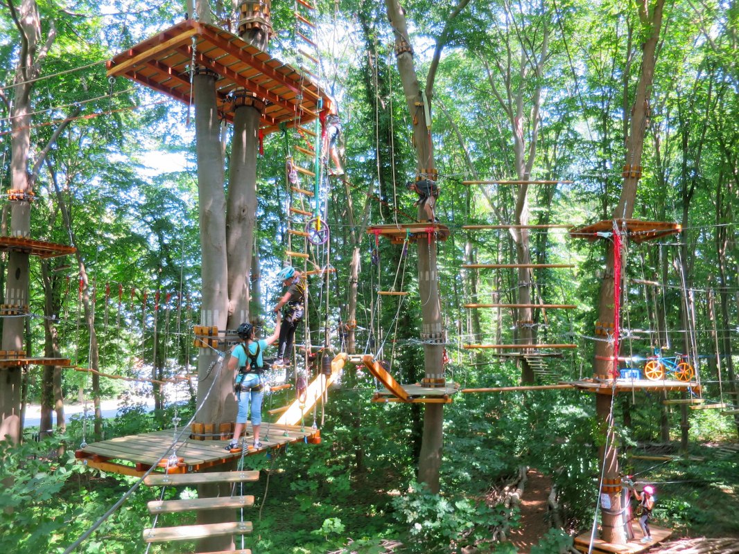 Climbing forest overview // © Michael Schicha Climbing forest overview // © Michael Schicha