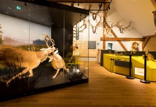 &copy; Moritz Kertzscher