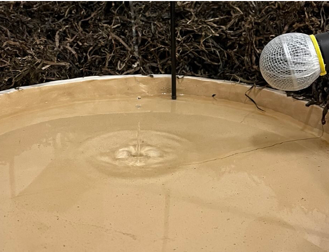 © Jugendkunstschule Vorpommern-Rügen e.V.