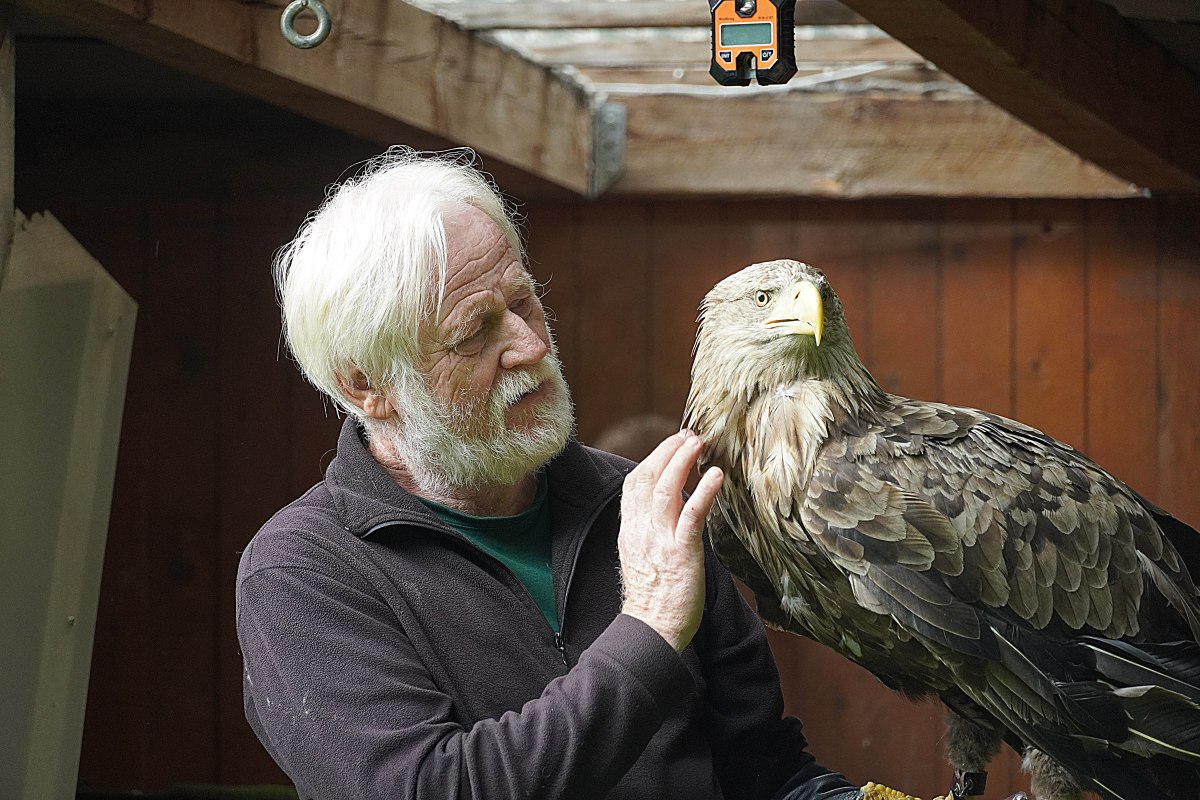 Falconer Ulrich Reppenhagen // © Kleine-Möller Falconer Ulrich Reppenhagen // © Kleine-Möller
