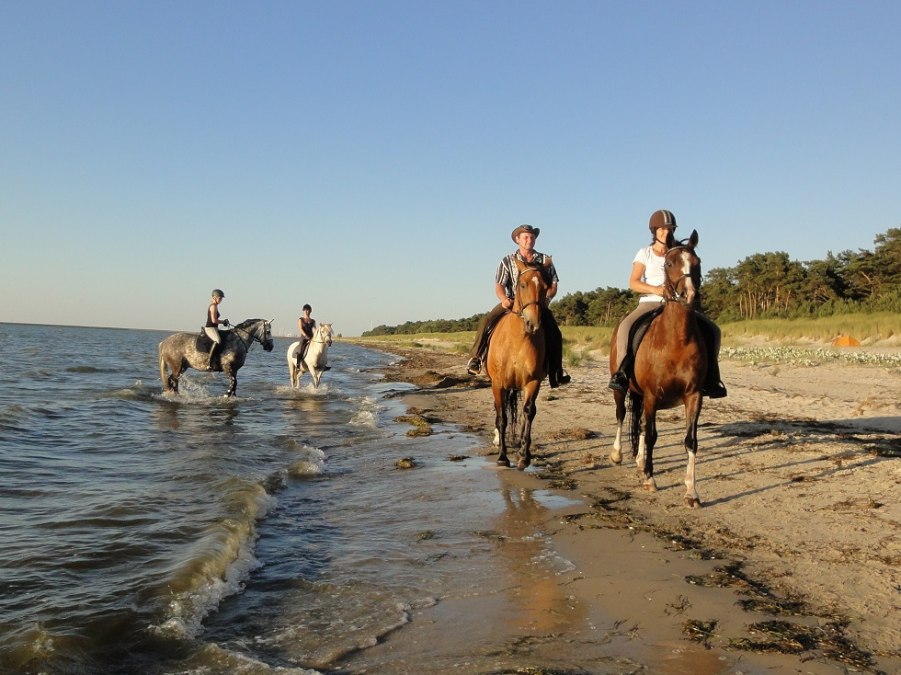 Cross-country and beach rides through the Bodden landscape of Western Pomerania, © Pferdesport Brauns