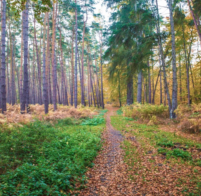 © insel-fotograf.eu, Andreas Dumke