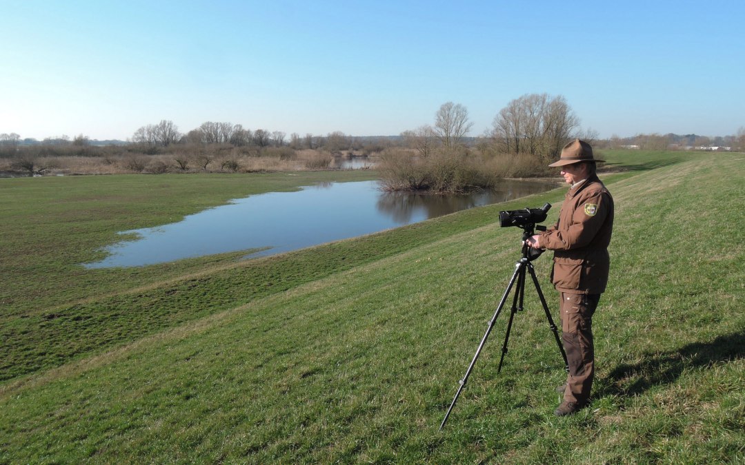Rastvogelbeobachtung_Sude-Elbe met Ranger_I.Valentin, © Biosphärenreservatsamt