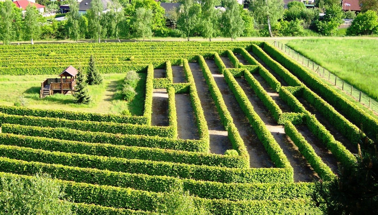 Doolhof op het Waldeck in Dargun, © Stadt Dargun