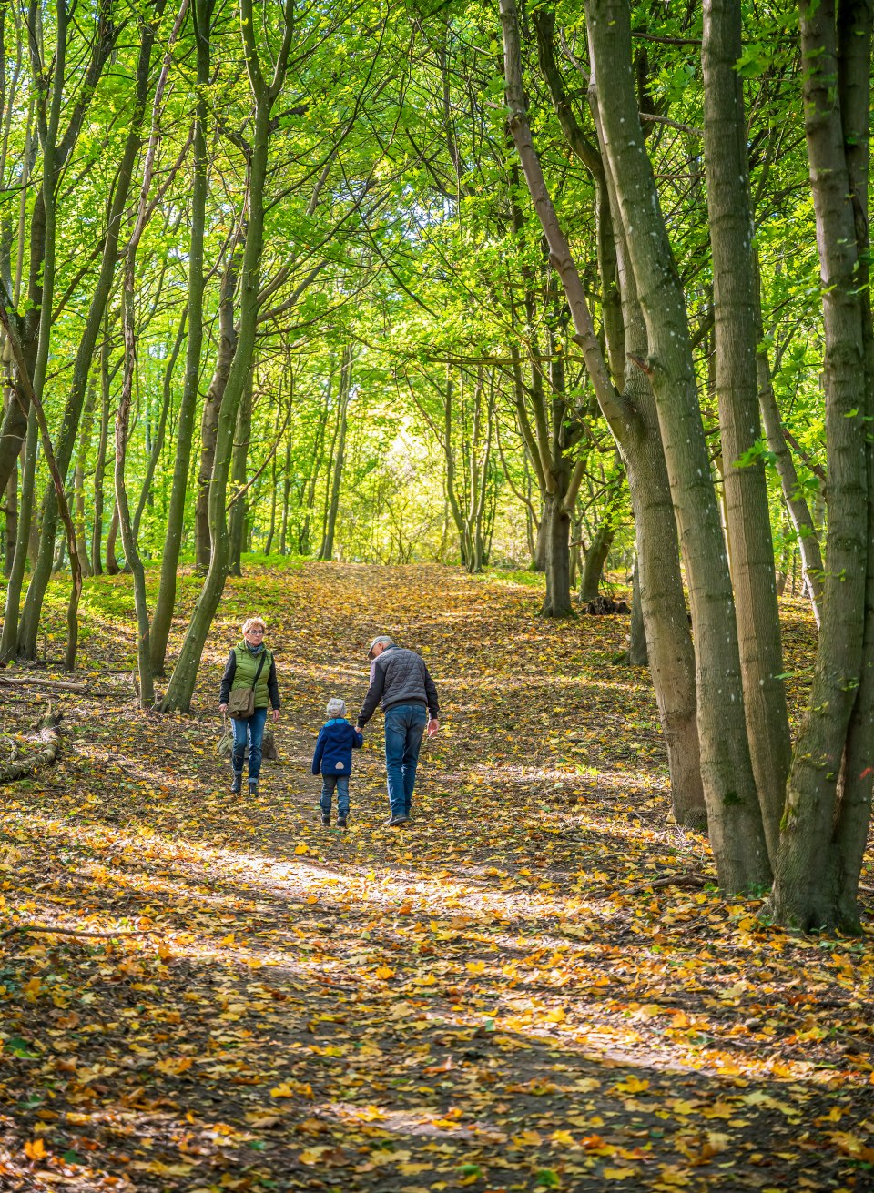 Grandma, grandpa and grandchildren on a fall walk through a forest