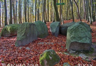 hidden in the beech woods of the Stubnitz lies the megalithic tomb "Pfennigkasten". // © Archäo Tour Rügen hidden in the beech woods of the Stubnitz lies the megalithic tomb "Pfennigkasten". // © Archäo Tour Rügen