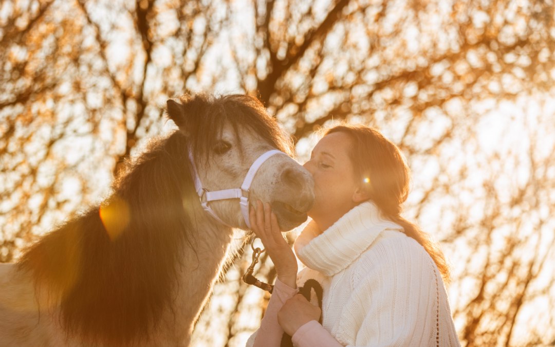 Koń jako lustro dla samego siebie, © Anniemal Fotografie