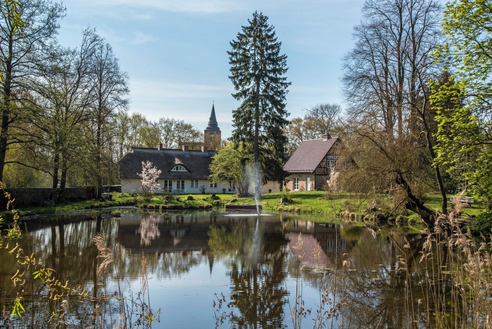 Dream garden in swan pond, © Von Koeller