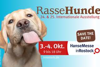 Titel RasseHunde // © inRostock GmbH Titel RasseHunde // © inRostock GmbH