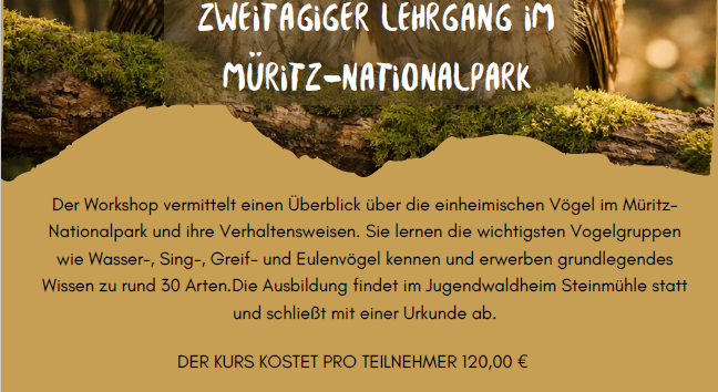 © Heike Brechler © Heike Brechler