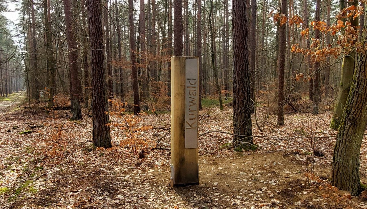 Kurwald 1 t.s., © Waren (Müritz) Kur- und Tourismus GmbH Kurwald 1 t.s., © Waren (Müritz) Kur- und Tourismus GmbH