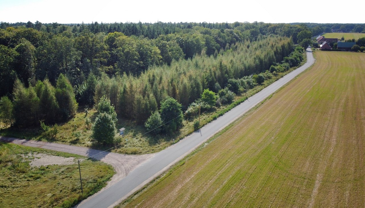 Klimatyczny las Neuhof, © Landesforst MV