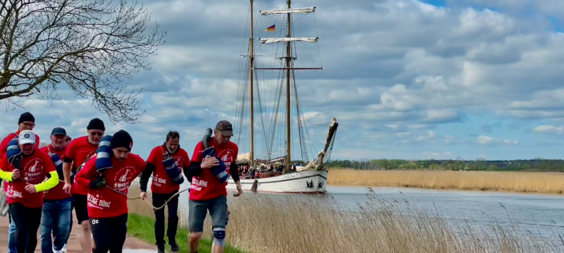 Frische Heringe und viele regionale H&auml;ndler auf dem Vorpommern-Fischmarkt. // &copy; G. Koch