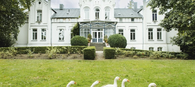 © vollvincent © vollvincent