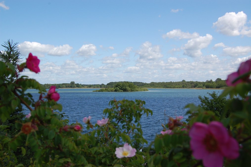 Uitzicht vanaf het huis naar de Schaalsee met het eiland Möwenburg., © © Susanne Hoffmeister
